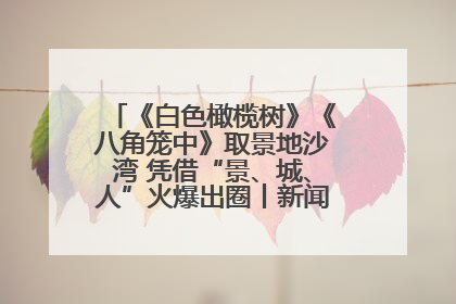 《白色橄榄树》《八角笼中》取景地沙湾 凭借“景、城、人”火爆出圈丨新闻发布最前线
