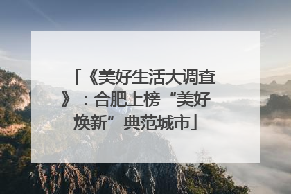 《美好生活大调查》：合肥上榜“美好焕新”典范城市
