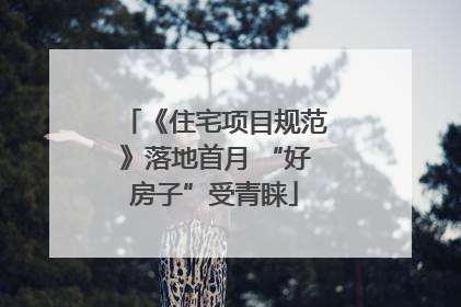 《住宅项目规范》落地首月 “好房子”受青睐