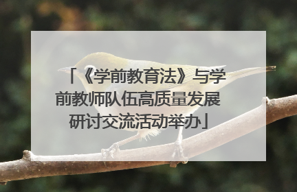 《学前教育法》与学前教师队伍高质量发展研讨交流活动举办