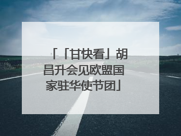 「甘快看」胡昌升会见欧盟国家驻华使节团