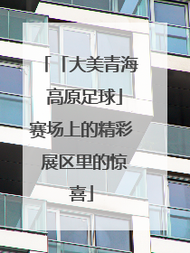 「大美青海 高原足球」赛场上的精彩 展区里的惊喜