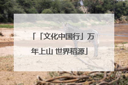 「文化中国行」万年上山 世界稻源