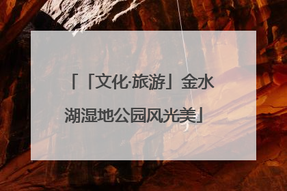 「文化·旅游」金水湖湿地公园风光美