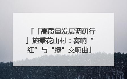 「高质量发展调研行」施秉花山村：奏响“红”与“绿”交响曲