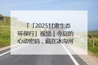 「2025甘肃生态环保行」视觉｜今夏的心动密码，藏在冰沟河的潋滟波光里