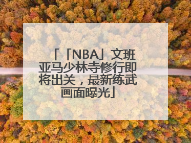 「NBA」文班亚马少林寺修行即将出关，最新练武画面曝光