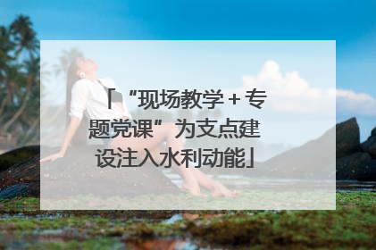 “现场教学＋专题党课”为支点建设注入水利动能