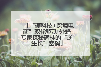 “硬科技+跨境电商”双轮驱动 外籍专家探秘碑林的“逆生长”密码