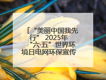 “美丽中国我先行” 2025年“六·五”世界环境日电网环保宣传系列活动——多场景联动，共筑生态发展新图景