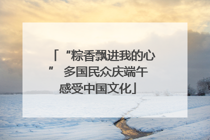 “粽香飘进我的心” 多国民众庆端午感受中国文化