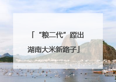“粮二代”蹚出湖南大米新路子