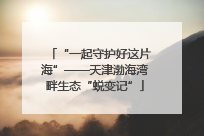 “一起守护好这片海”——天津渤海湾畔生态“蜕变记”