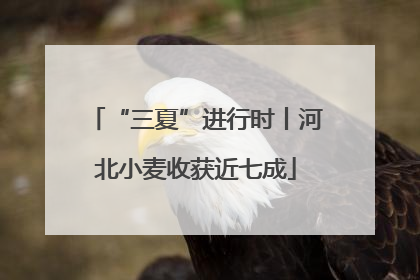 “三夏”进行时丨河北小麦收获近七成
