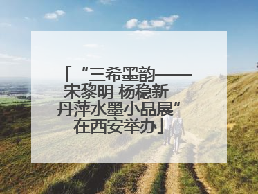 “三希墨韵——宋黎明 杨稳新 丹萍水墨小品展”在西安举办