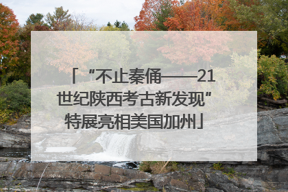 “不止秦俑——21世纪陕西考古新发现”特展亮相美国加州