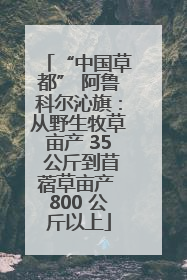 “中国草都” 阿鲁科尔沁旗：从野生牧草亩产 35 公斤到苜蓿草亩产 800 公斤以上