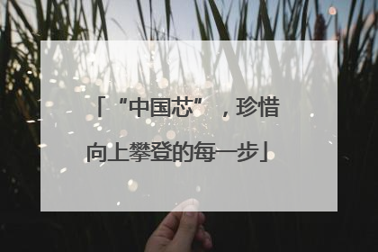 “中国芯”，珍惜向上攀登的每一步