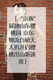 “京燕”展翅山东樱桃园 京东物流自研无人机开启樱桃出山新速度