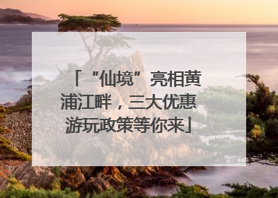 “仙境”亮相黄浦江畔，三大优惠游玩政策等你来