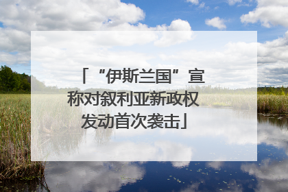 “伊斯兰国”宣称对叙利亚新政权发动首次袭击