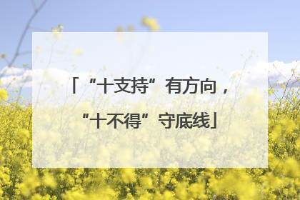 “十支持”有方向，“十不得”守底线
