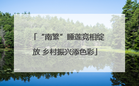 “南繁”睡莲竞相绽放 乡村振兴添色彩