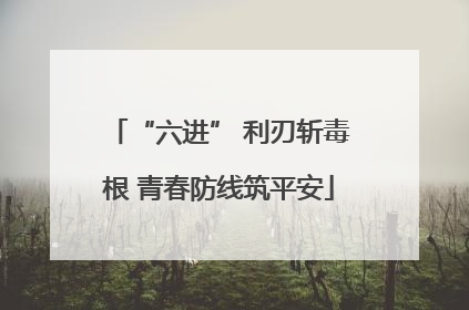 “六进” 利刃斩毒根 青春防线筑平安