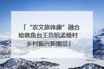 “农文旅体康”融合绘就鱼台王鲁镇孟楼村乡村振兴新图景