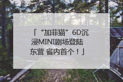 “加菲猫”6D沉浸MINI剧场登陆东营 省内首个！