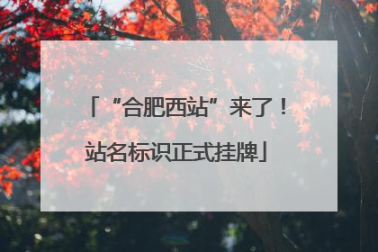 “合肥西站”来了！站名标识正式挂牌