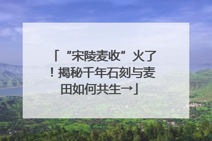 “宋陵麦收”火了！揭秘千年石刻与麦田如何共生→