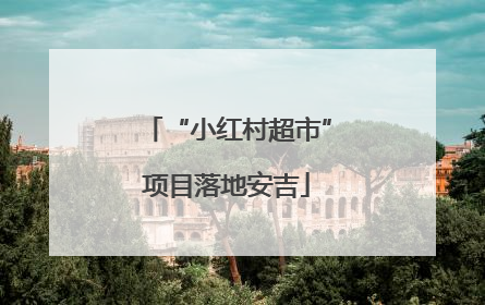 “小红村超市”项目落地安吉