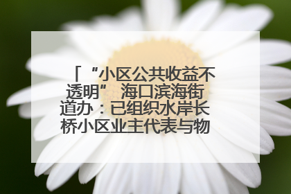 “小区公共收益不透明” 海口滨海街道办：已组织水岸长桥小区业主代表与物业进行座谈