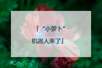 “小萝卜”机器人来了