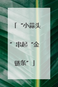 “小蒜头”串起“金链条”