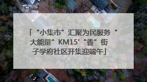 “小集市”汇聚为民服务“大能量”KM15′“香”街子学府社区开集迎端午