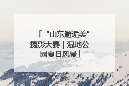 “山东邂逅美”摄影大赛｜湿地公园夏日风景