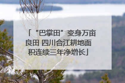 “巴掌田”变身万亩良田 四川合江耕地面积连续三年净增长