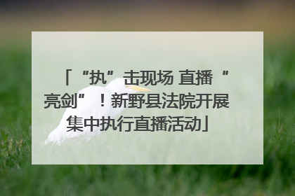“执”击现场 直播“亮剑”！新野县法院开展集中执行直播活动