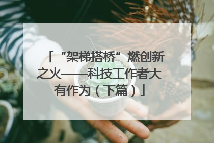 “架梯搭桥”燃创新之火——科技工作者大有作为（下篇）