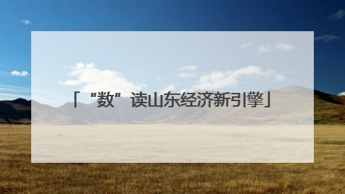 “数”读山东经济新引擎