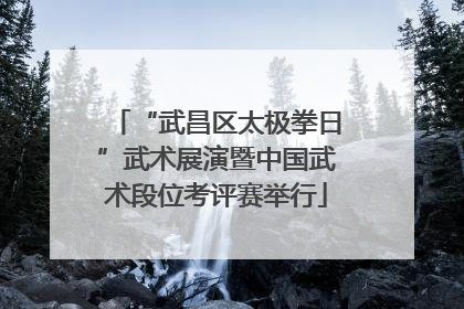“武昌区太极拳日”武术展演暨中国武术段位考评赛举行