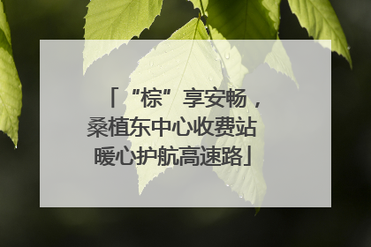 “棕”享安畅，桑植东中心收费站暖心护航高速路