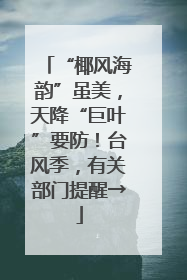 “椰风海韵”虽美，天降“巨叶”要防！台风季，有关部门提醒→