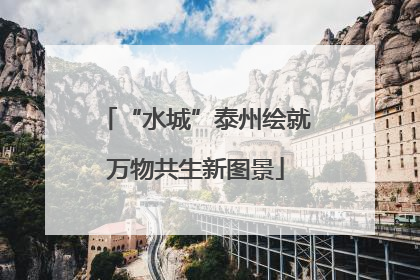 “水城”泰州绘就万物共生新图景