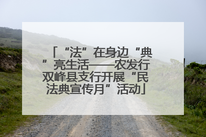 “法”在身边“典”亮生活——农发行双峰县支行开展“民法典宣传月”活动