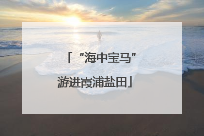 “海中宝马”游进霞浦盐田