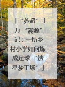 “苏超”主力 “溯源” 记：一所乡村小学如何炼成足球 “造星梦工场”