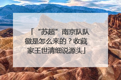 “苏超”南京队队徽是怎么来的？收藏家王世清细说源头